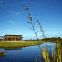 Birds Ferry Lodge & Ferry Mans Cottage
