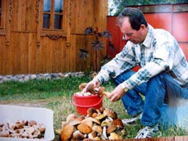 Picking the mushrooms in Belarus