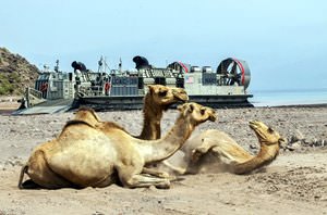 26th MEU Djibouti LCAC Landings [Image 2 of 15]