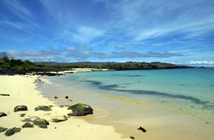 Galapagos beach, Santa Cruz, Cerro Dragon