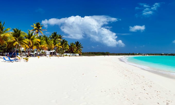 Anguilla Anguilla