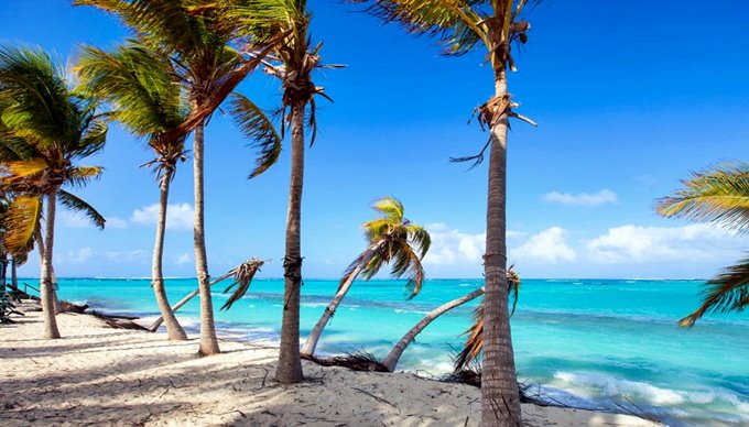 Anguilla Anguilla
