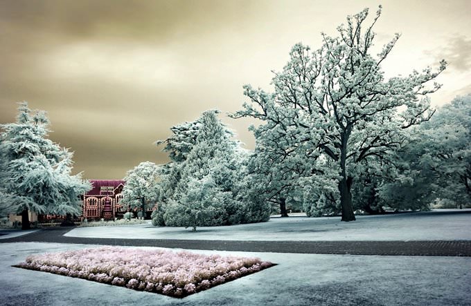 Christchurch Botanic Gardens