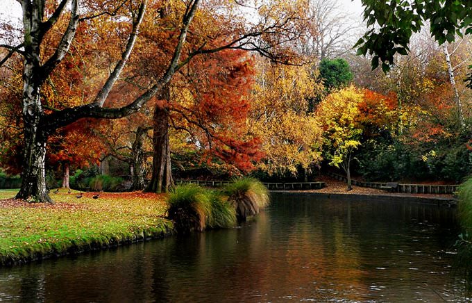Christchurch Botanic Gardens.