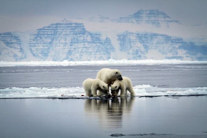 Greenland Greenland