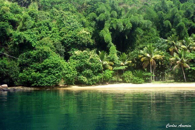 Verde que te quero.....(explore!!!)