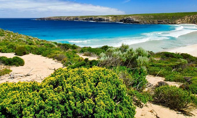 Kangaroo Island