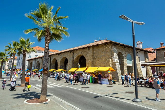 Koper
