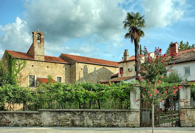 Koper