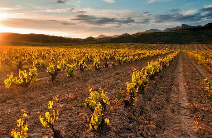 La Rioja La Rioja
