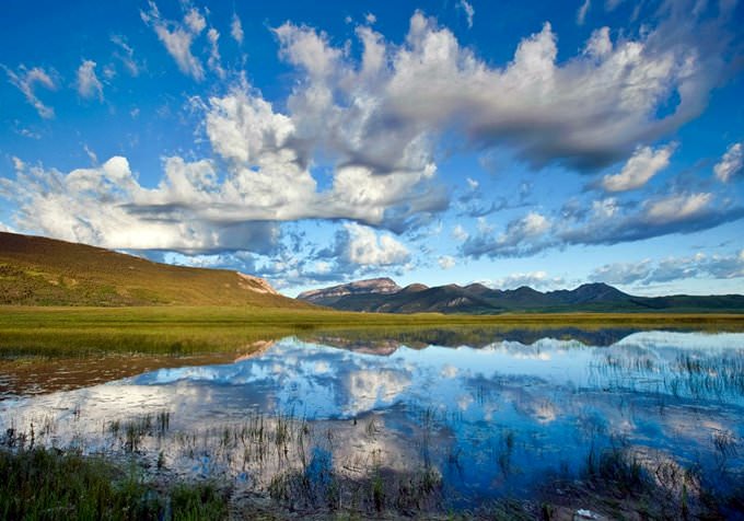 Montana Montana