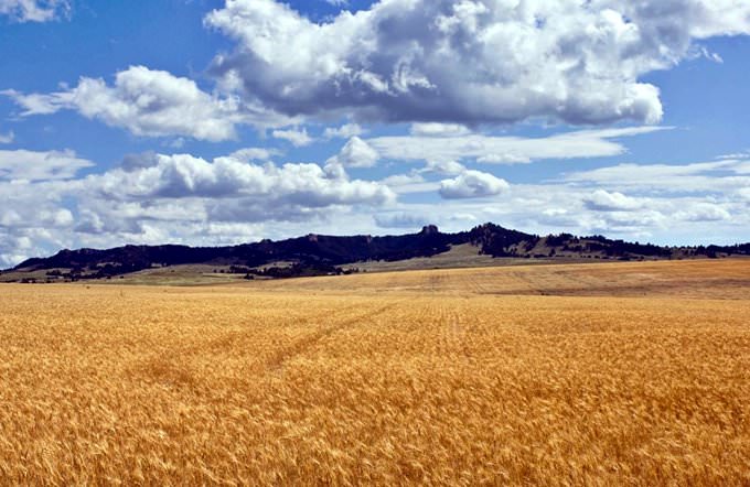 Nebraska Nebraska