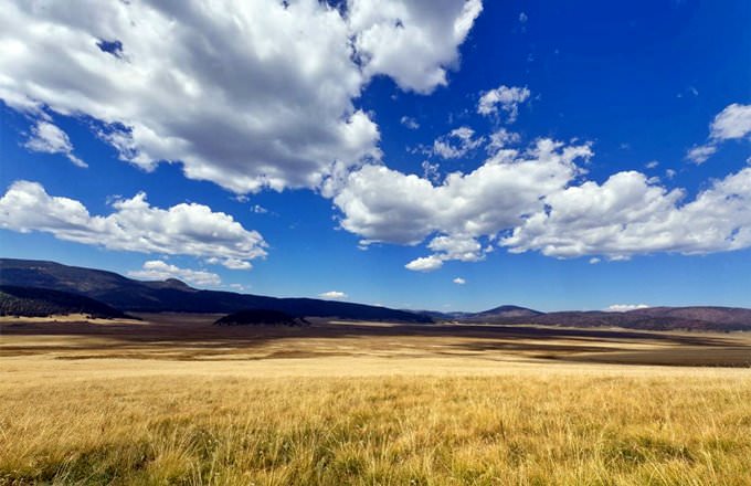 New Mexico New Mexico