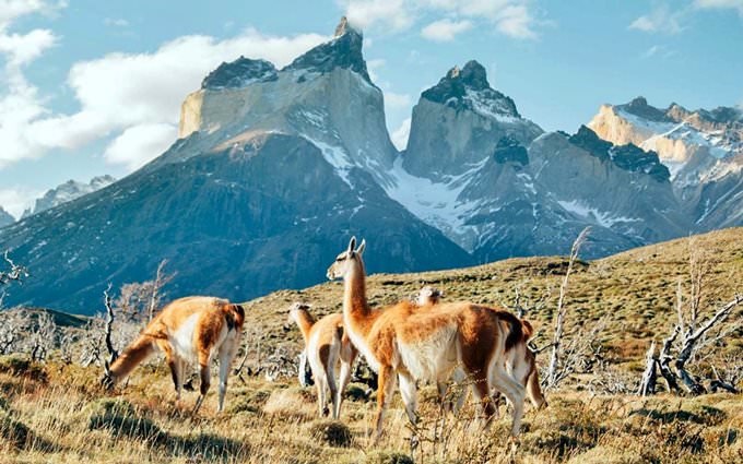 Patagonia
