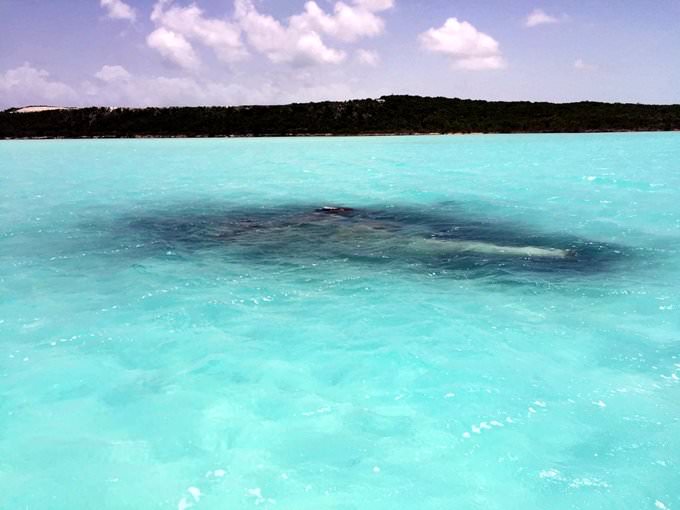 Plane Crash Turned Snorkeling Spot
