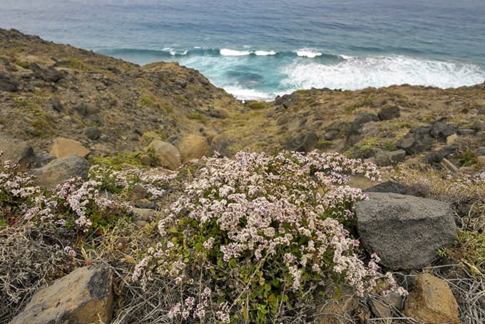 Santo Antao Santo Antao