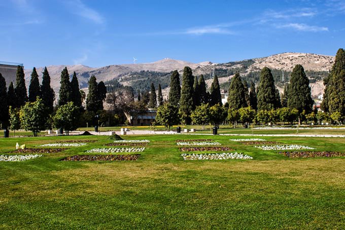 Shiraz Shiraz