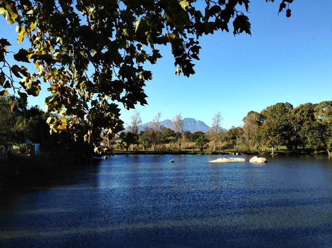 Spier Wine farm, Stellenbosch