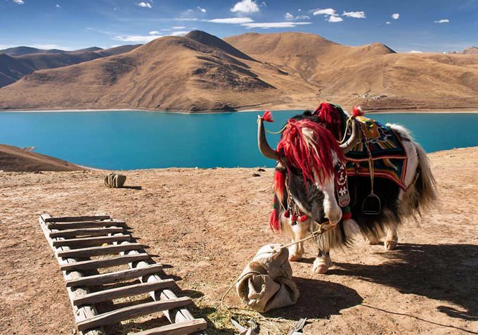 Tibet