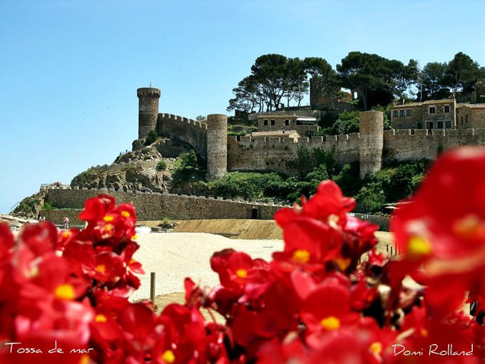 Tossa de mar