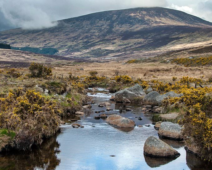 Wicklow Wicklow