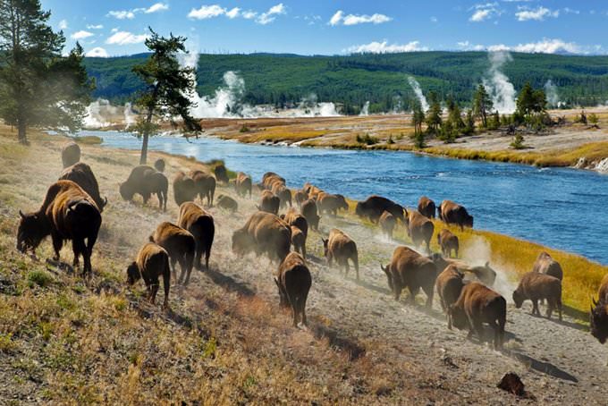 Wyoming Wyoming