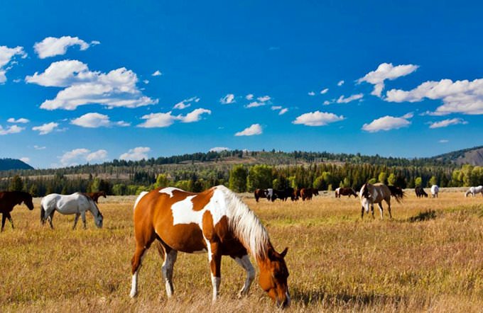 Wyoming Wyoming