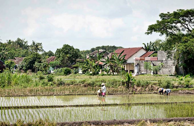 Yogyakarta