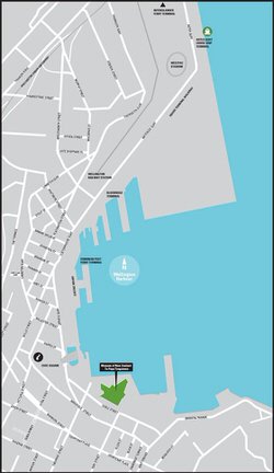 Карта Веллингтона 3