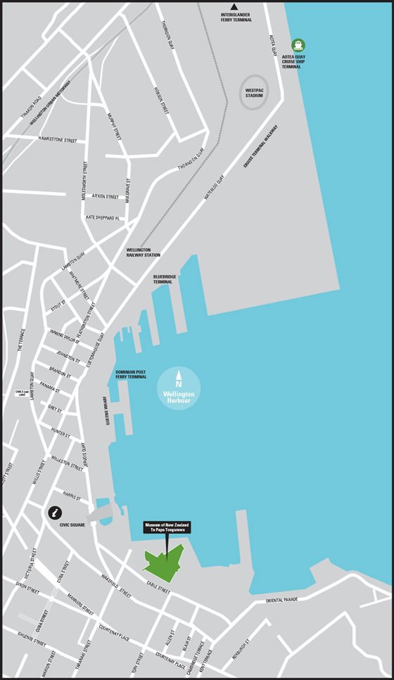 Детальная карта Веллингтона 3