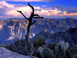 Медный каньон , Copper Canyon, Мексика