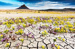 Top 11 Most Unusual Deserts on the Planet