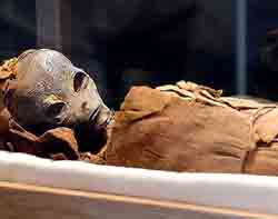 Mummy Alien Sarcophagus