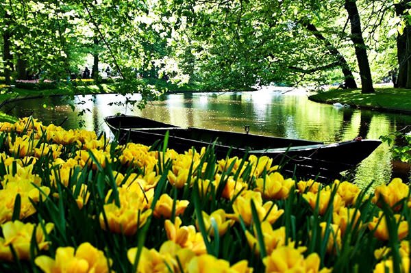 Keukenhof Flower Park, Netherlands