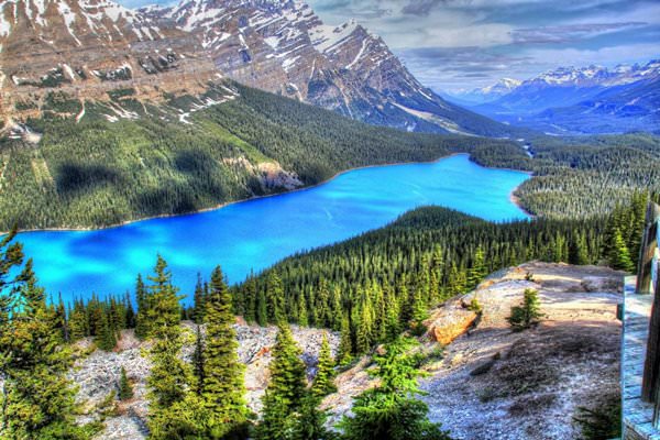 Peyto Lake | Series 'The Cleanest Lakes and Rivers of the Planet ...