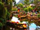 4 out of 12 - Lijiang Old Town, China