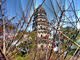 9 из 15 - Пагода на холме Тигра, Китай