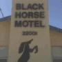 Black Horse Motel