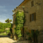 La Collina Di Pilonico