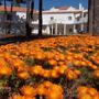 Hotel Rural Monte da Leziria