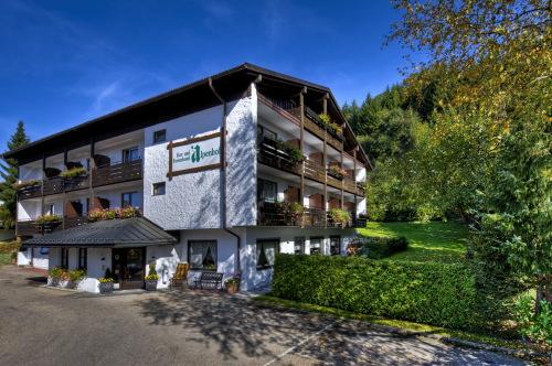 Отель Kur- und Ferienhotel Alpenhof