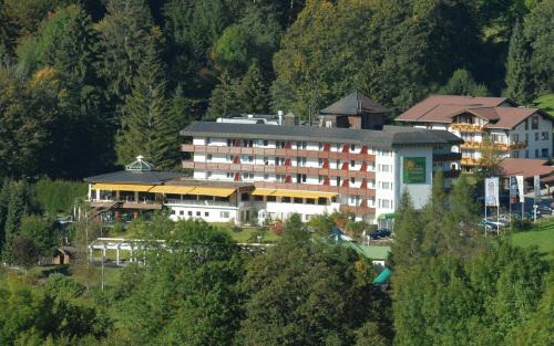 Отель Alpenhotel Tiefenbach