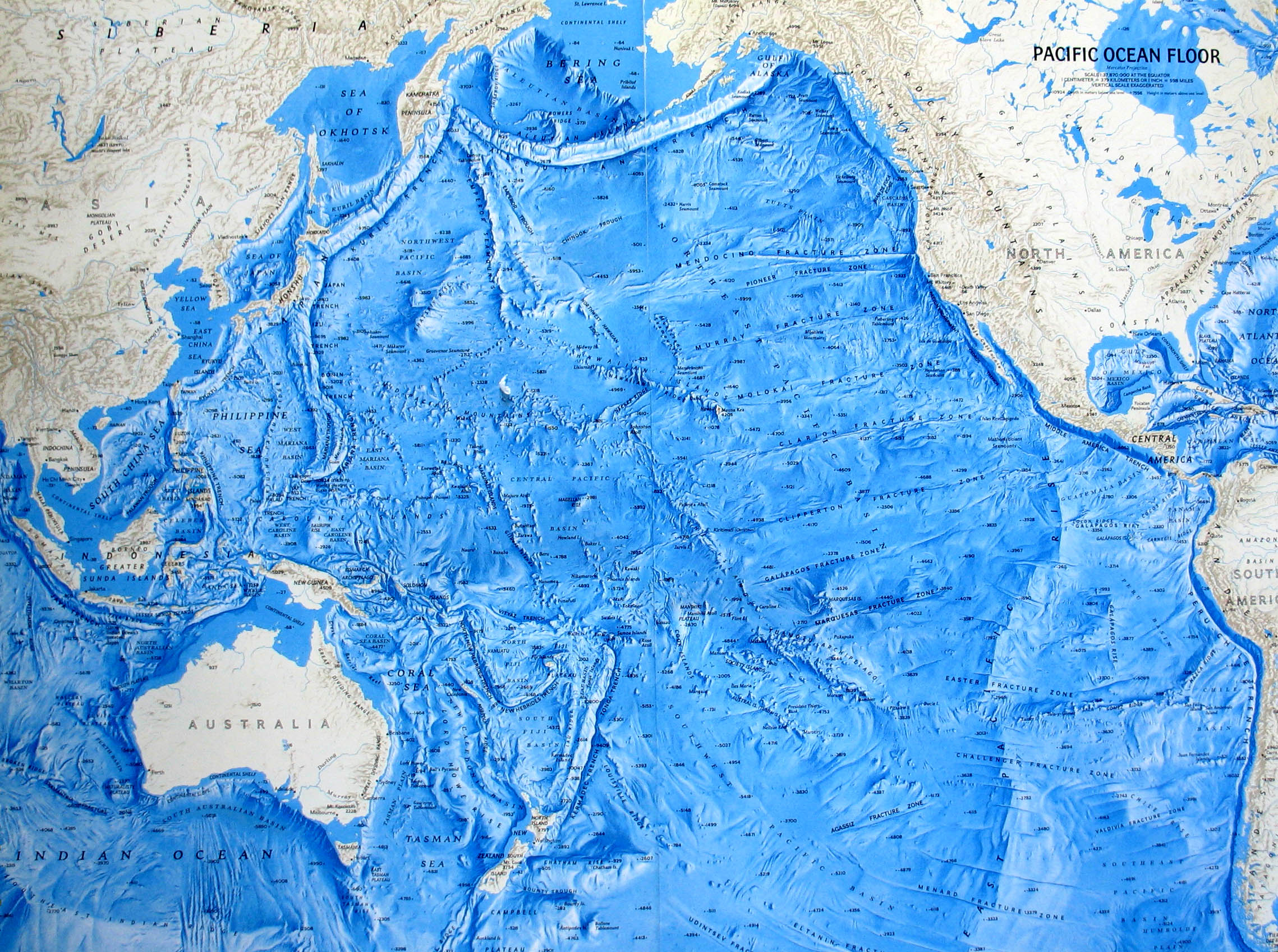 Рельеф дна океана Тихого океана карта